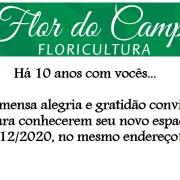 Reinauguração Floricultura Flor do Campo – 14/12/20. - Há 10 anos com vocês